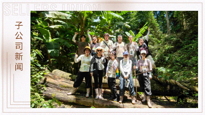 探雨林秘境，與森林同呼吸——記優(yōu)景公司年中西雙版納團建旅游